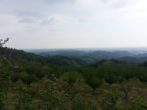 Chengdu countryside