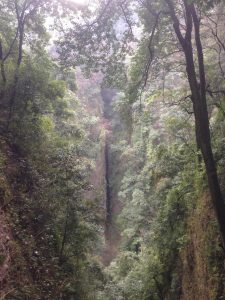 on QingCheng mountain