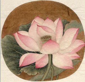 Lotus out of water Song Dynasty original