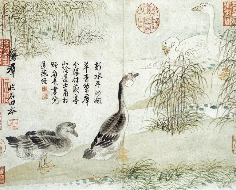 Ancient Chinese Flower Paintings by Yun Shou Ping 惲壽平