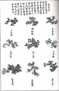 jieziyuan_huazhuan_1-193x300.