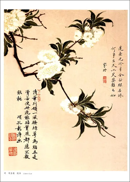 Amazon.com: 道元と中国禅思想: 9784831876348: Ensei Ka: Books