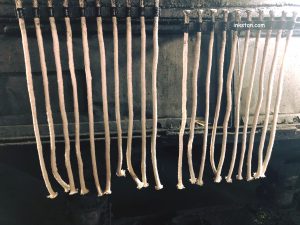 cotton strings used to for oil lamp