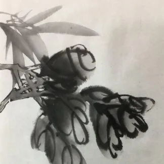 URSUS 1400055 - Juego De Farolillos Cuadrados Para