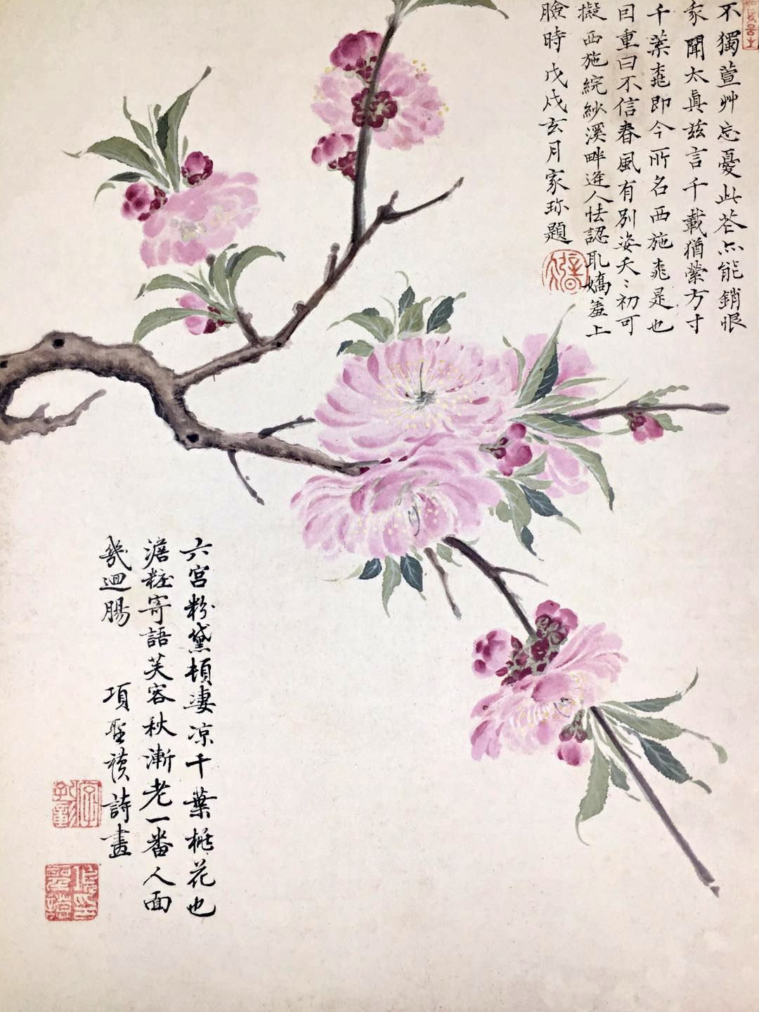 xiangshengmo-peach-blossoms1