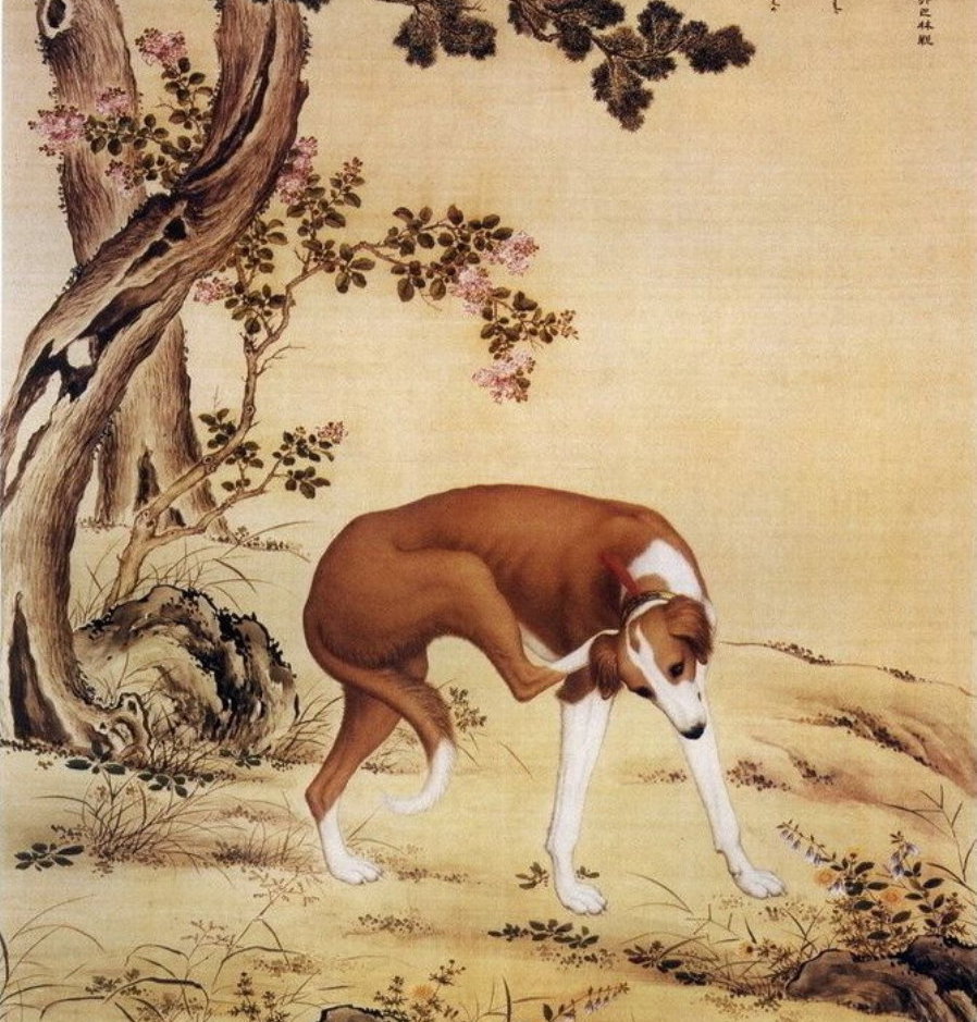 Year of the Dog Painting Competition