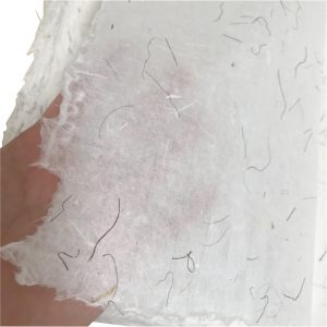 Corn Silk Paper