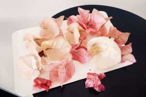 Magical Materials