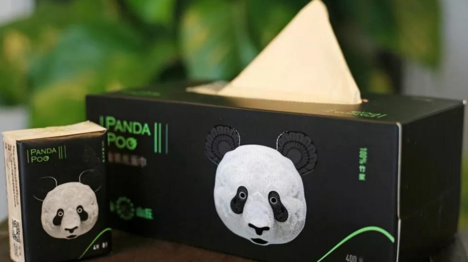 panda poo paper (bamboo paper)